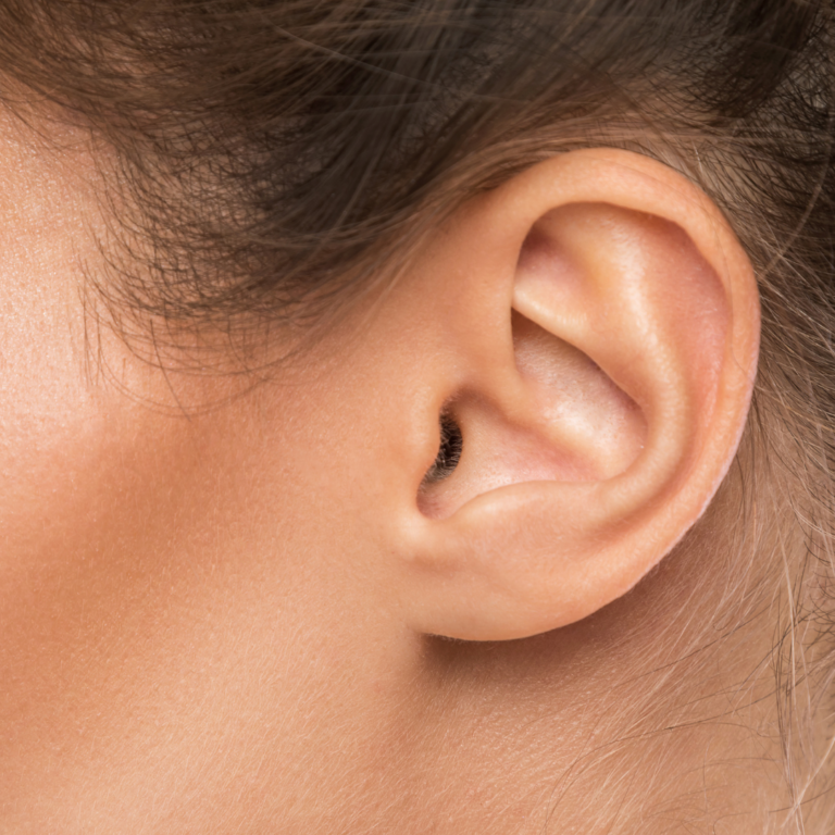 Proportionate Earlobes. Reduction and repair.